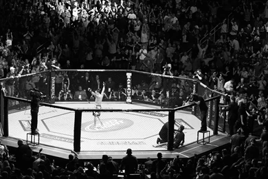 UFC Mixed Martial Arts Mma Fight Extreme Battle Battles Stadium ...