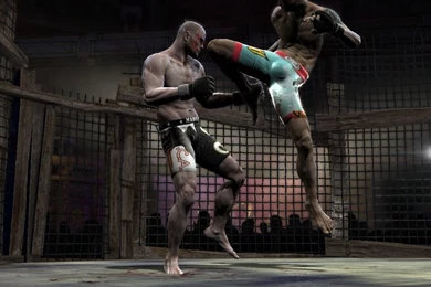 Supremacy MMA Desktop Wallpapers