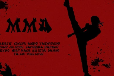 1366x768 MMA   Karate Kid Theme Desktop PC And Mac Wallpapers