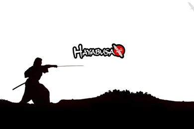 MMA Computer Wallpapers, Desktop Backgrounds