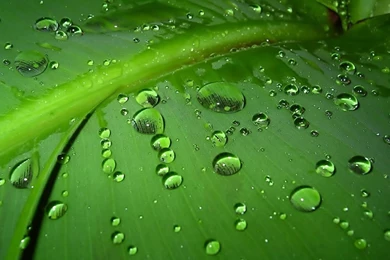 Free Wallpaper Backgrounds For Computer Best HD Desktop Wallpapers ...