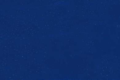 Blue Wallpapers   Barbaras HD Wallpapers