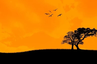 1600x900 Sunset Art Backgrounds Wallpapers