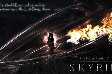 Top Skyrim Dragon Night Sky Images For Pinterest