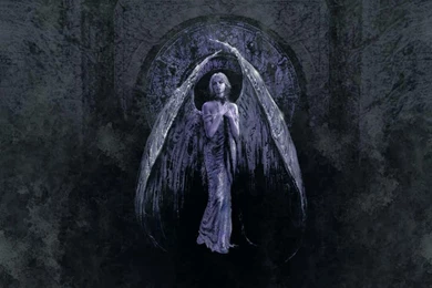 Praying Angel   Angels Wallpapers (7450400)   Fanpop