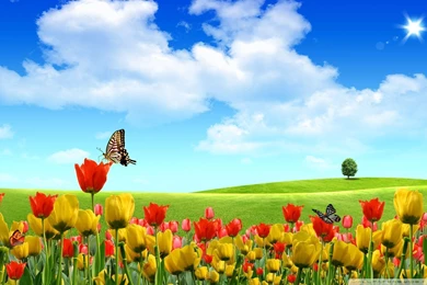 Download Spring Wallpapers For Windows