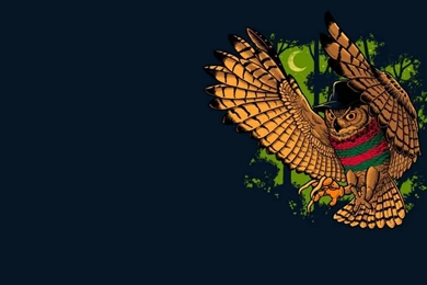 Laptop 1366x768 Owl Wallpapers HD, Desktop Backgrounds 1366x768