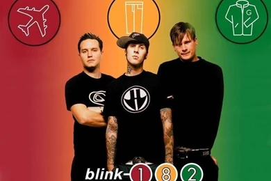 Blink 182 Wallpapers   Travis Barker Wallpapers (9964417)   Fanpop