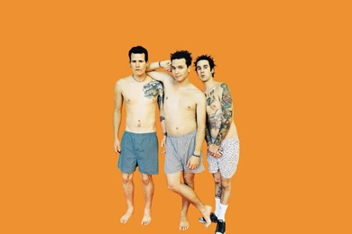 Blink   Blink 182 Wallpapers (711243)   Fanpop