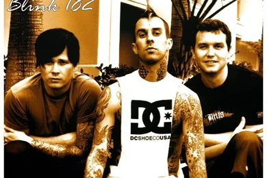 Blink 182 <3   Blink 182 Wallpapers (20974084)   Fanpop