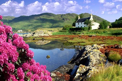 Download Wallpapers 3840x2160 Scotland, Coast, Cottage, Flowers ...