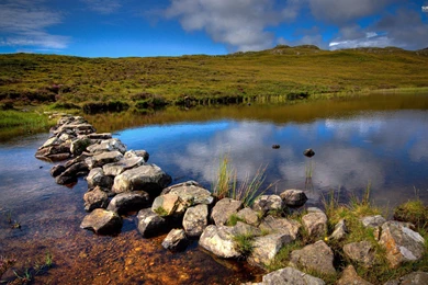 Meanwhile In Scotland Wallpapers   Funny Wallpapers