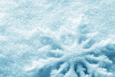 Winter Snow Backgrounds