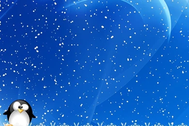 Animated Wallpapers Snow 2015   Grasscloth Wallpapers