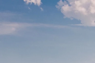 Yellow Fields Galaxy S4 Wallpapers (1080x1920)