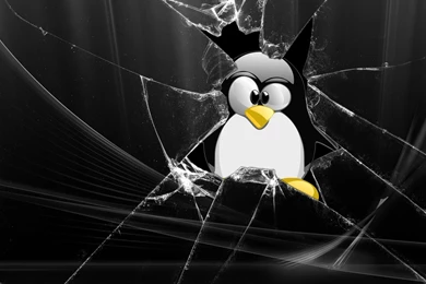 Linux Desktop Wallpapers In HD Funny Logos To Classic OS Art