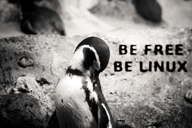 All You Need Is Bash Computer Wallpapers, Desktop Backgrounds ...