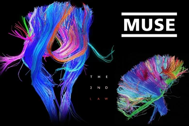 The 2nd Law   Muse Wallpapers (31724776)   Fanpop