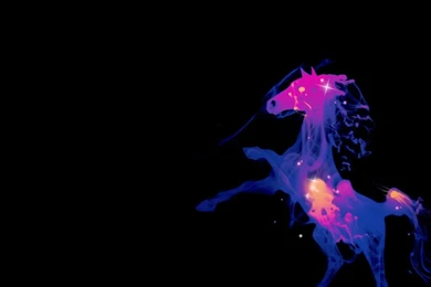 Muse Knights Of Cydonia HD Wallpapers Wallpapers   (