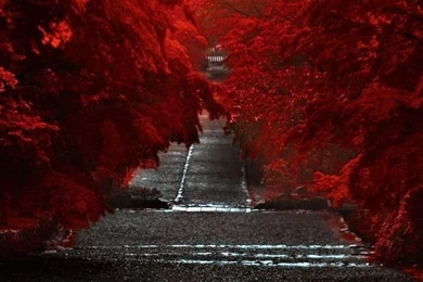 Japan iPhone 5s Wallpapers