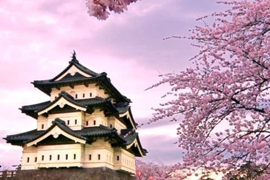 Japan iPhone 5 Wallpapers