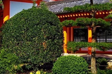 Japan House iPhone 5 Wallpapers