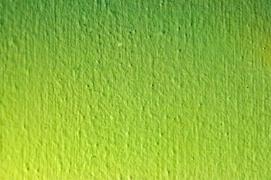 Free Download 44 HD Green Wallpapers For Windows And Mac Systems