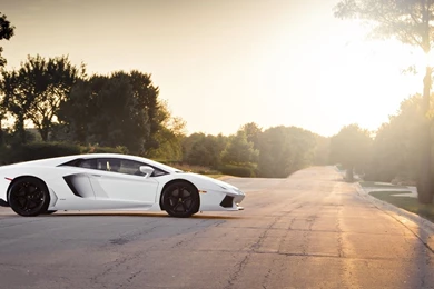 Magnificent Lamborghini Aventador Wallpapers