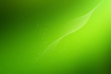 Green Wallpapers High Quality Backgrounds Image Wallpapers