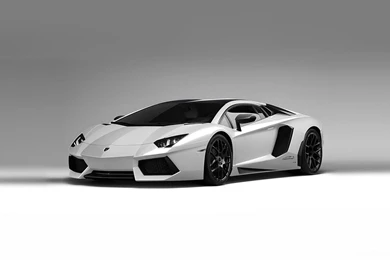 Lamborghini Aventador White Wallpapers