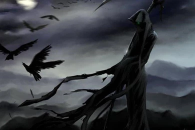 Raven Wallpapers   HD Wallpaper Backgrounds Of Your Choice