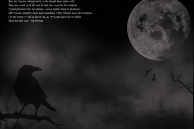 Raven Wallpapers