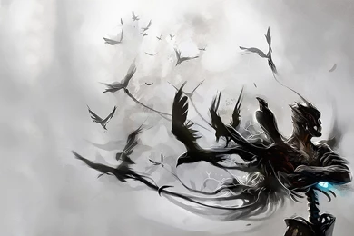 Abstract Birds White Backgrounds Raven Wallpapers