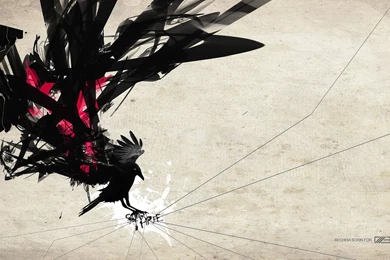 31 Raven HD Wallpapers