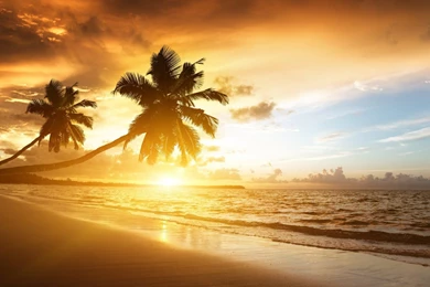 30 HD Tropical Beach Backgrounds