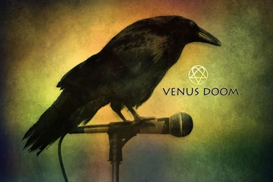 Dark Raven Wallpapers By Praveen3d On DeviantArt