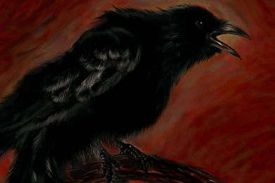 Raven Wallpapers   Artistic Wallpapers