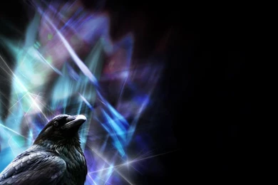 Sharp Raven Wallpapers By LadyLuminal On DeviantArt