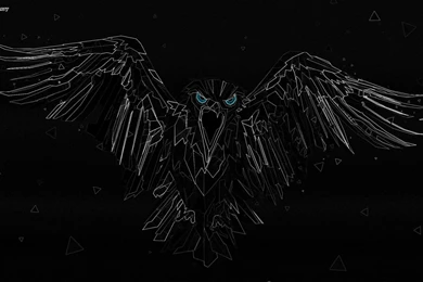 Black And White "Trigger Warning" Raven Wallpapers   Album On Imgur