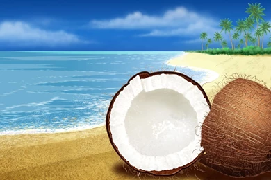 Beach Wallpapers_hd Wallpaper_download Free Wallpapers