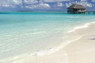 Summer iPhone 5s Wallpapers