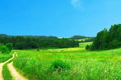 640x1136 Summer Meadow & Road Iphone 5 Wallpapers