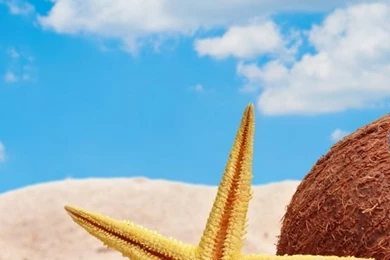 Summer iPhone 5s Wallpapers