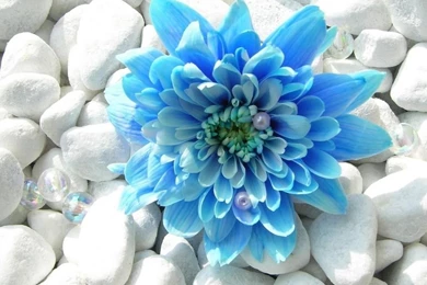 IPad mini wallpaper 1024x1024 hd 24.jpg