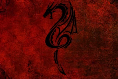 Download Wallpapers 1024x1024 Dragon, Pattern, Red, Black iPad ...