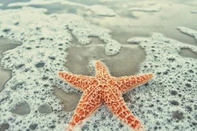 MODERN FREE IPHONE WALLPAPERS NO.4