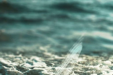 Download Wallpapers 750x1334 Sea Foam, Summer, Surf iPhone 6 HD ...