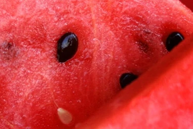 Summer Delicious Watermelon iPhone 5s Wallpapers Download