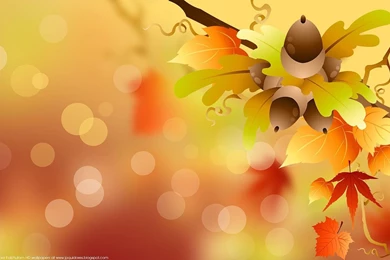 Autumn Exclusive HD Wallpapers For Desktop Backgrounds