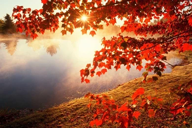 Autumn Wallpapers HD   Android Apps And Tests   AndroidPIT